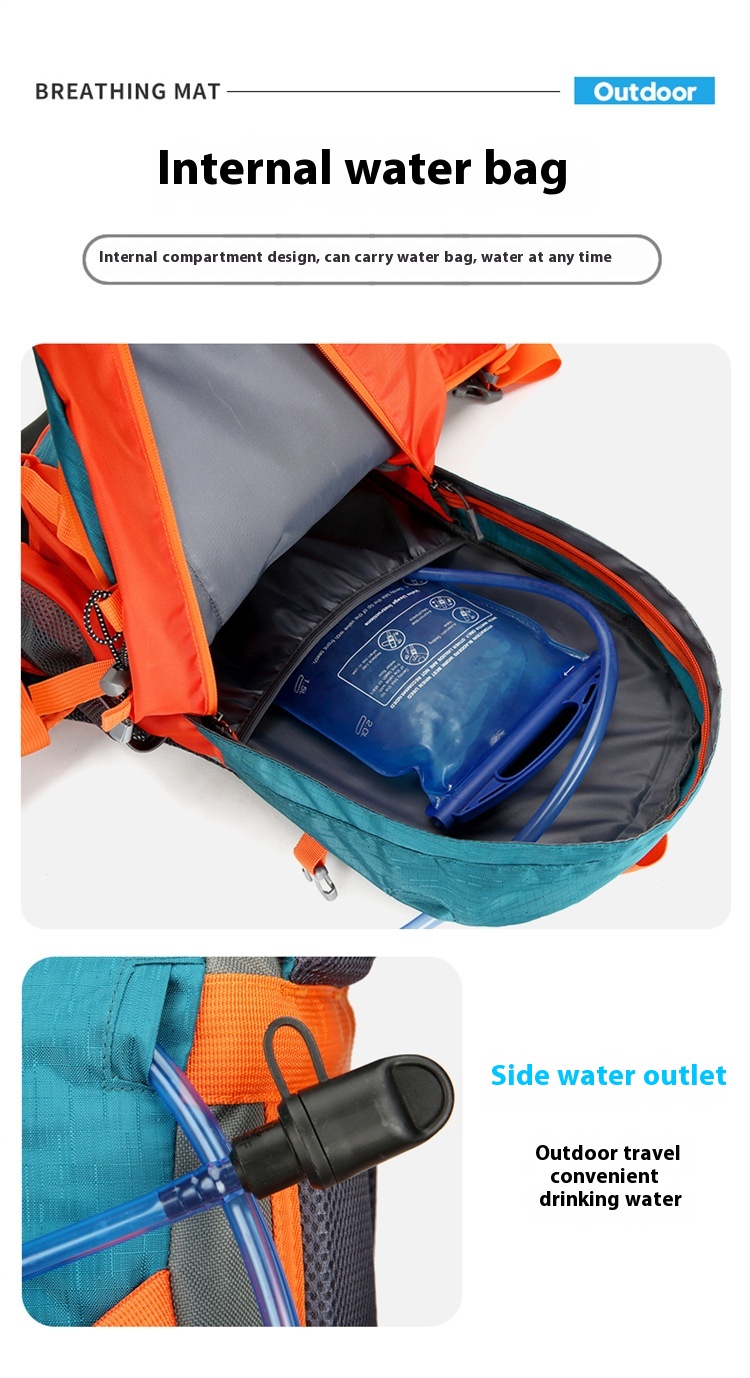 01d3e2cc 547a 45f7 8db2 6df662f83931 Trans