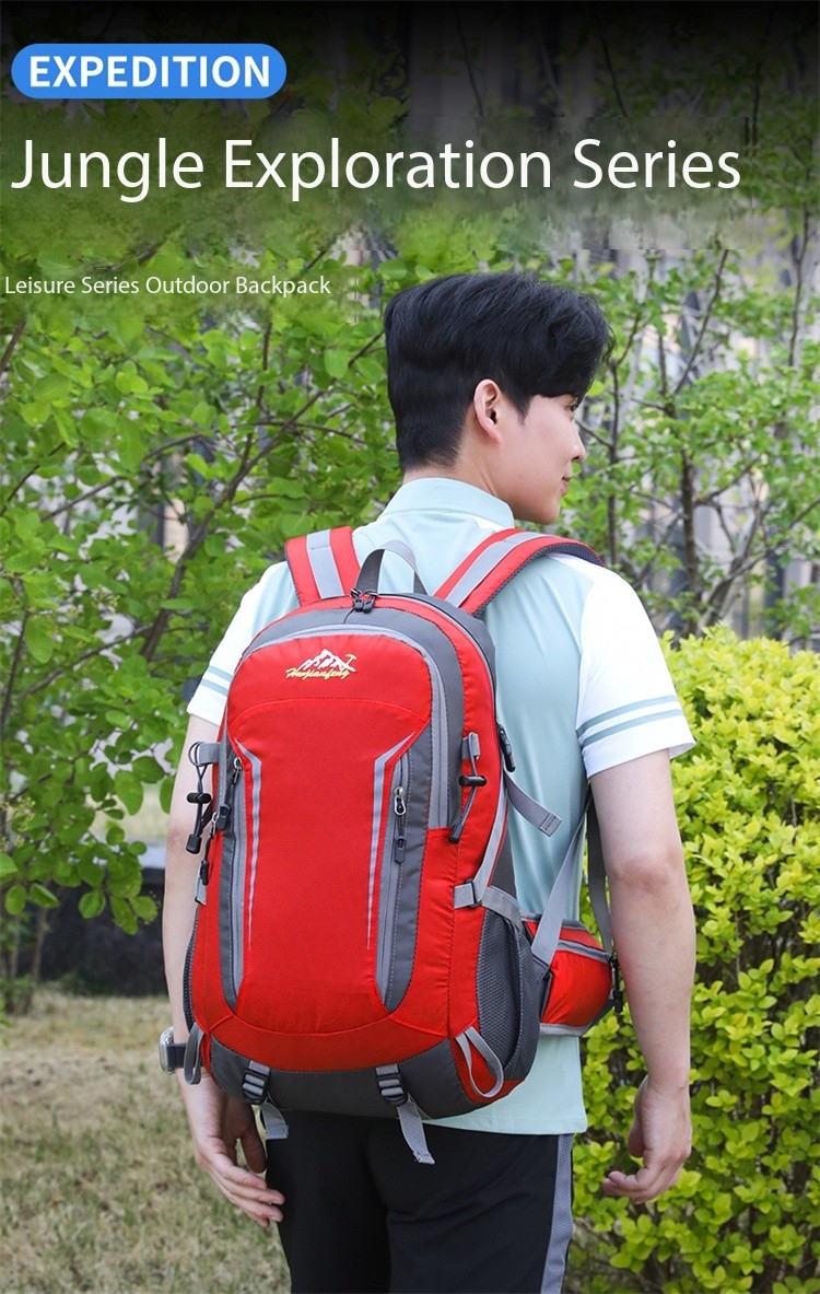 020fd3b0 C6c8 47d0 Aad8 409b92ec1c3f