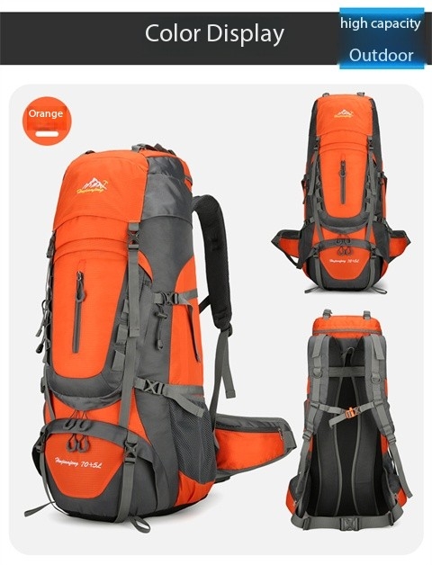 2779d3b3 F276 44a5 A533 5e6133e43d5e