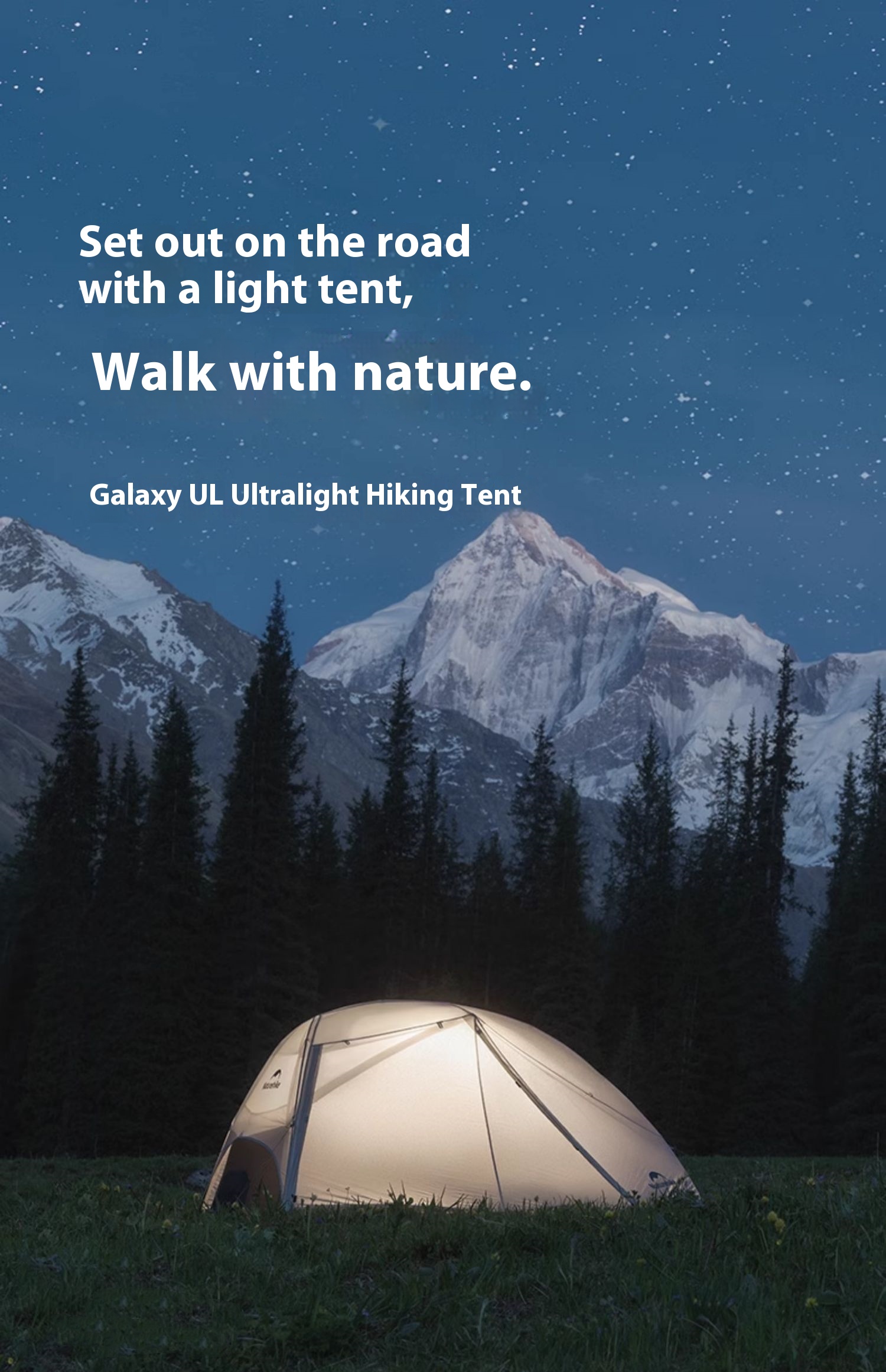 29adf7e1 6a97 4444 804f 01b2ba030285 Trans