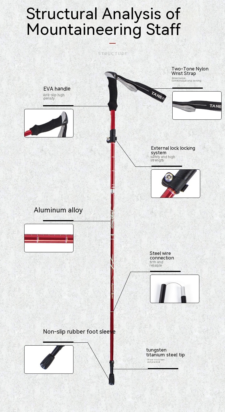 3874828e Ad6a 4f10 95c5 Aa5d794a7421 Trans