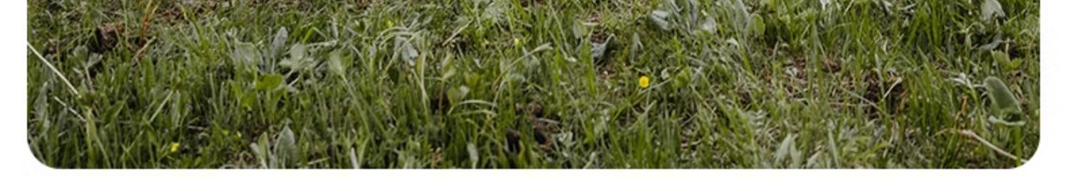 3dd3db7d Cac5 4a9e A1eb 21c7fcc77d5b Trans