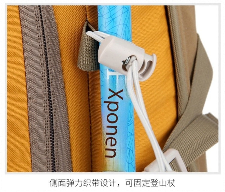 42b6d3b0 Cfe1 45cd 82cb 02a446081cea