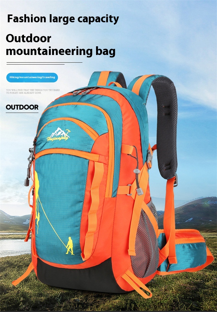 438fca84 C6de 459e A713 Cb3533f2028e Trans