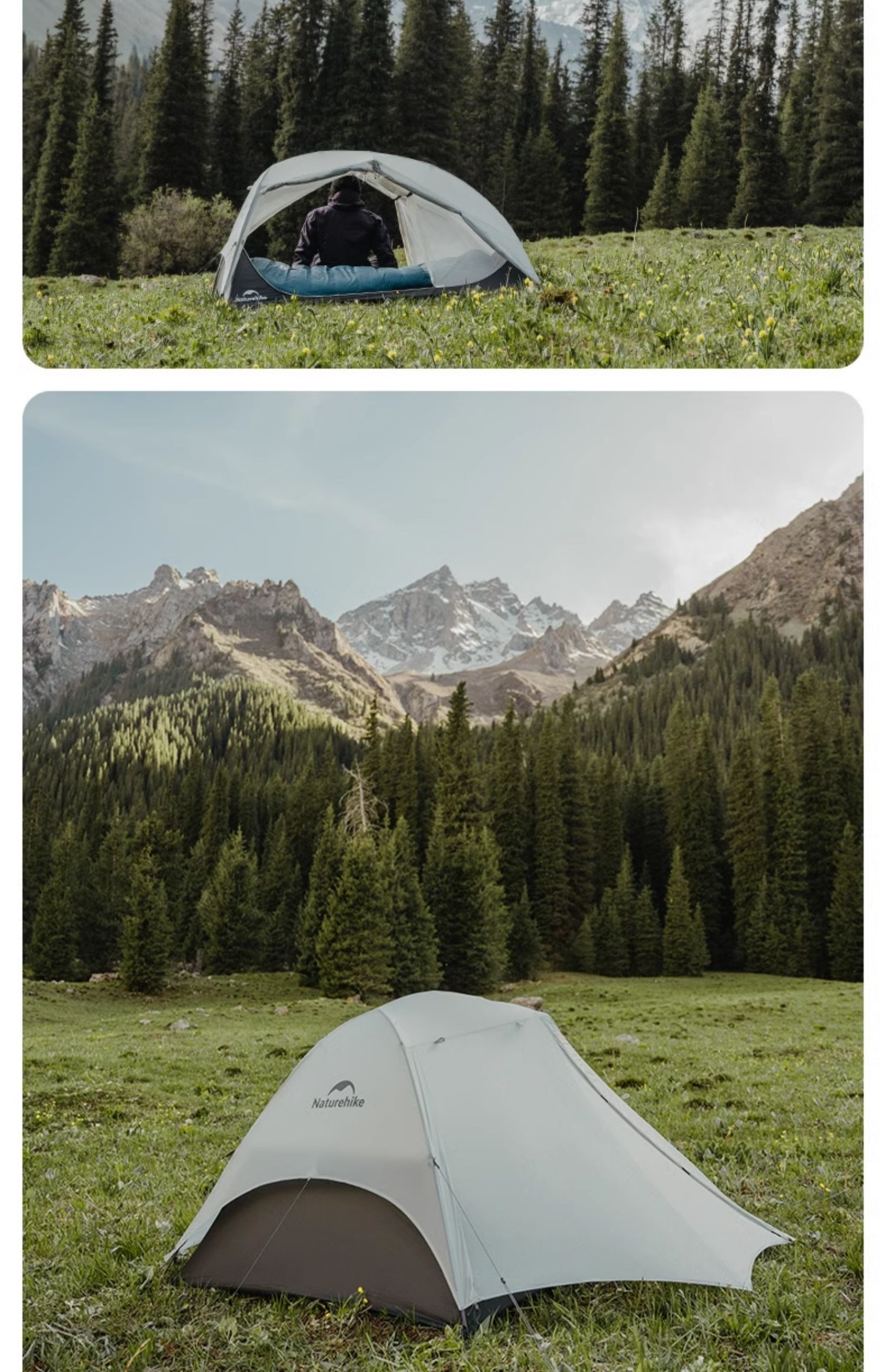 45226fbe 94ba 4ee1 A547 2578be385e01 Trans