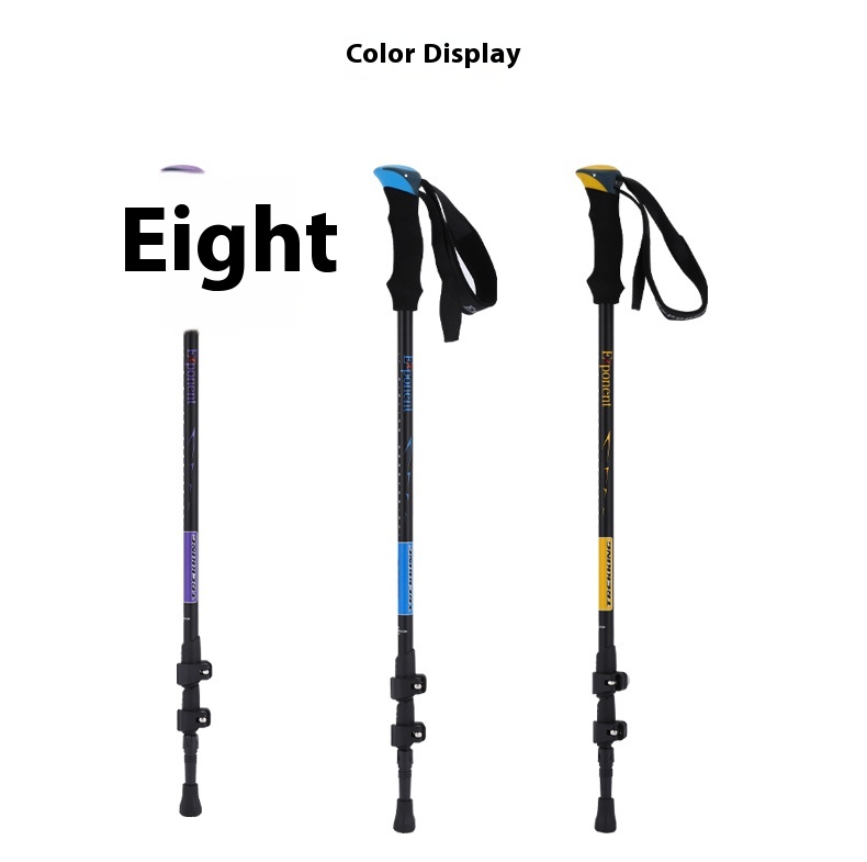 55655829 C5c9 4d5f A2c2 Deeff27076fd Trans