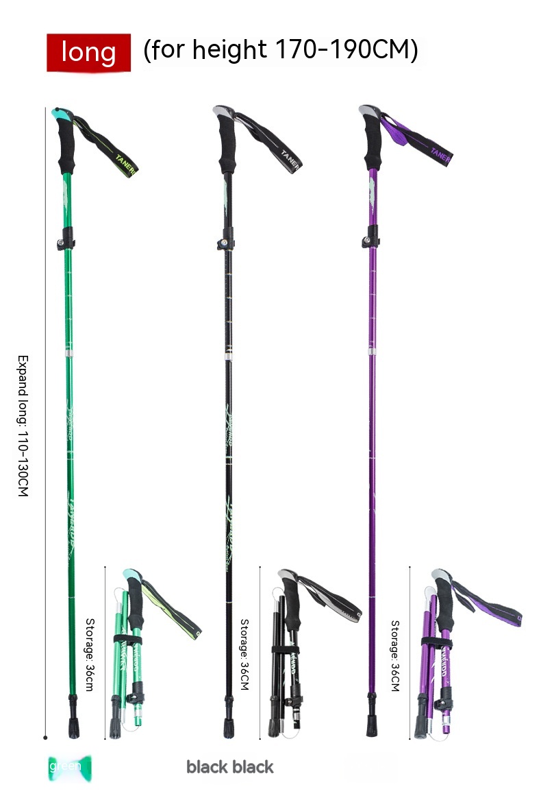 5c14eeb1 41a4 4c7c 8f9c 10da85a8bf78 Trans