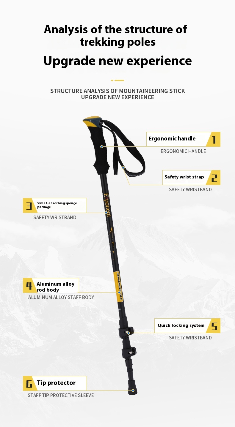 6cc256f7 26c7 410c A089 9adaaa92a989 Trans