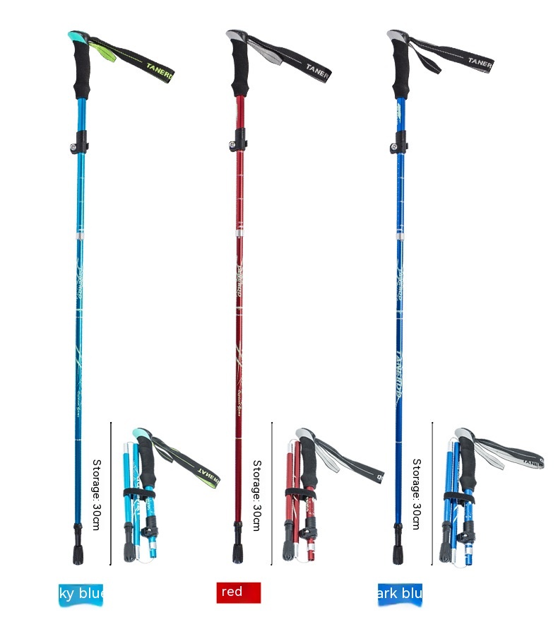 859dec92 630d 44dc A940 7ac367525a94 Trans