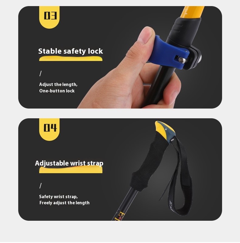 8806d606 6e98 4e40 B57c 734950ed8cef Trans