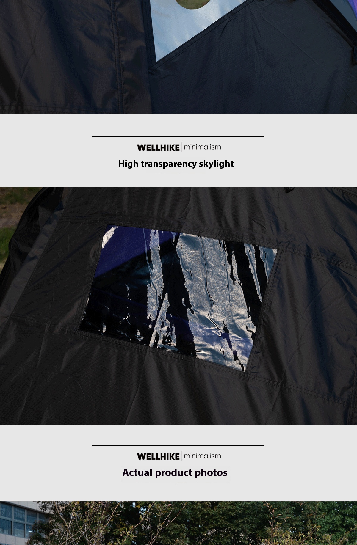 939d53a1 Df70 46e3 B21c 4cfb64eb8484 Trans