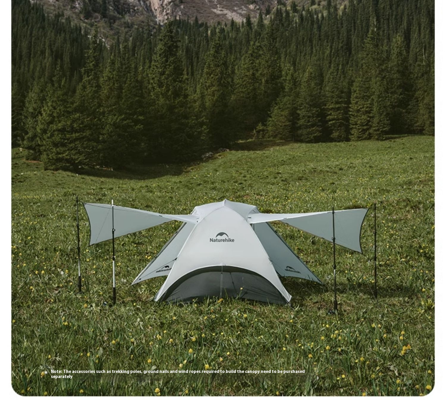 A07222d9 6862 4810 A5b0 08a7d6b2a712 Trans