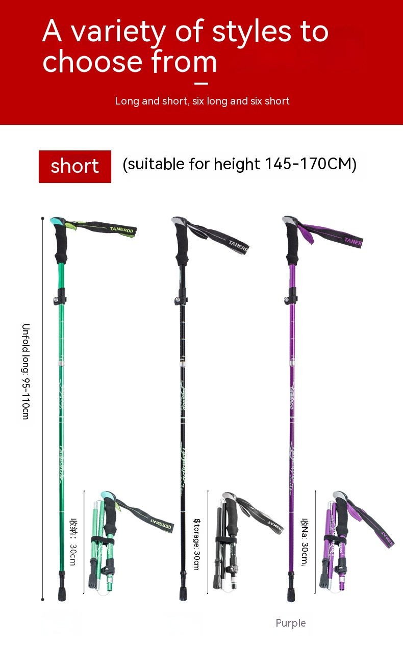 C6f909f7 879b 45f0 9b5f 07c1a910cab1 Trans