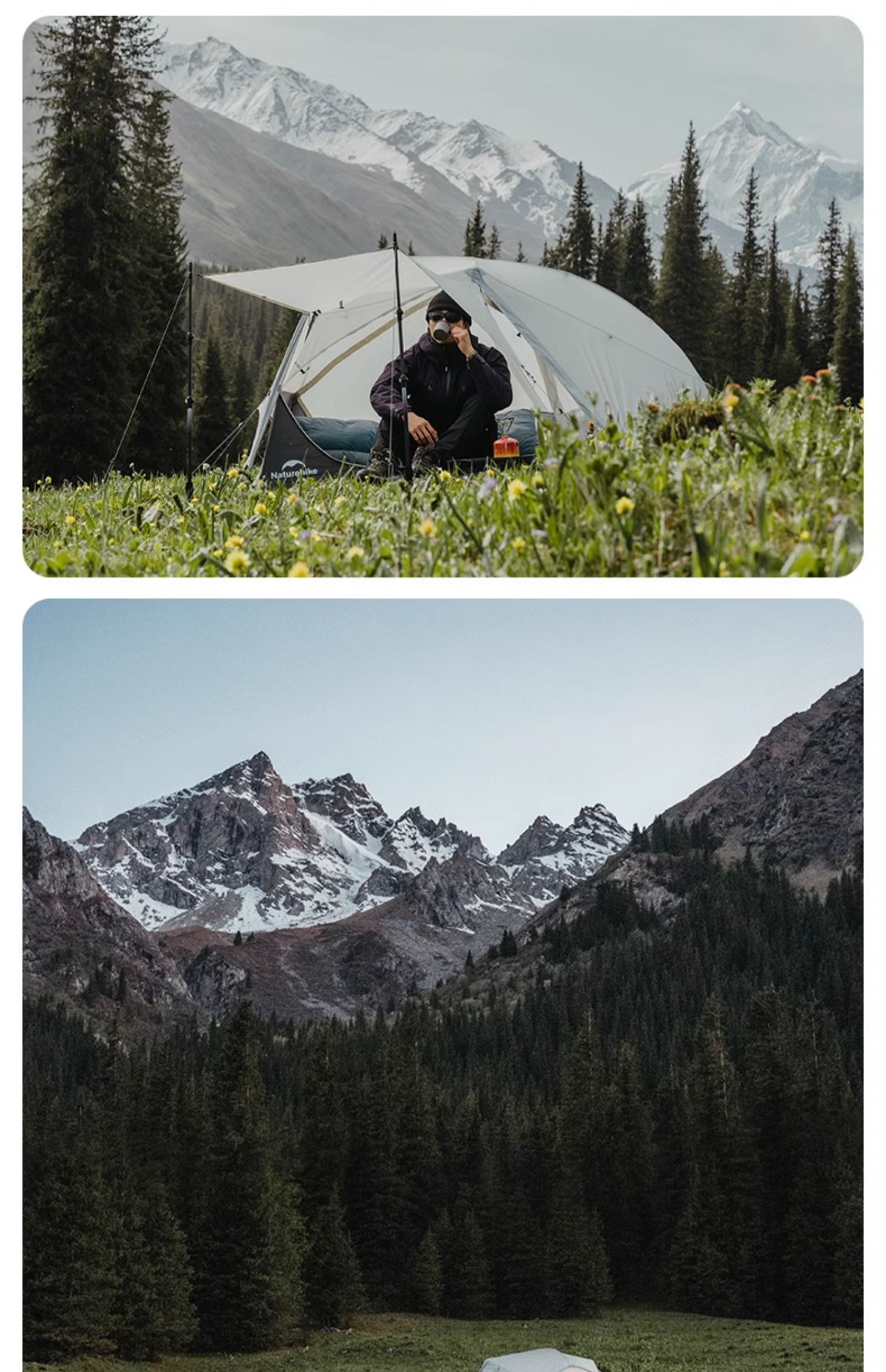 Ce2cde39 A31a 46a8 A690 8f291ea67a67 Trans