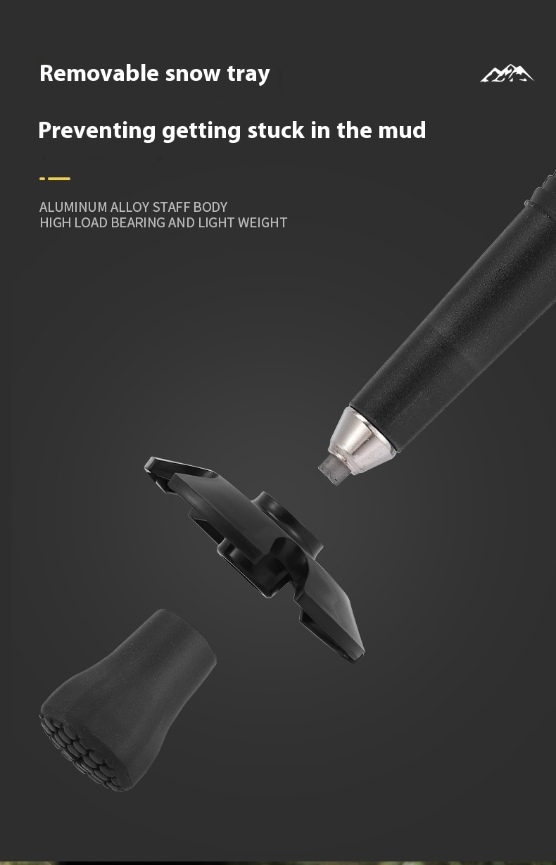 F02e40ec Ffb3 411c B867 C544f9108fc9 Trans