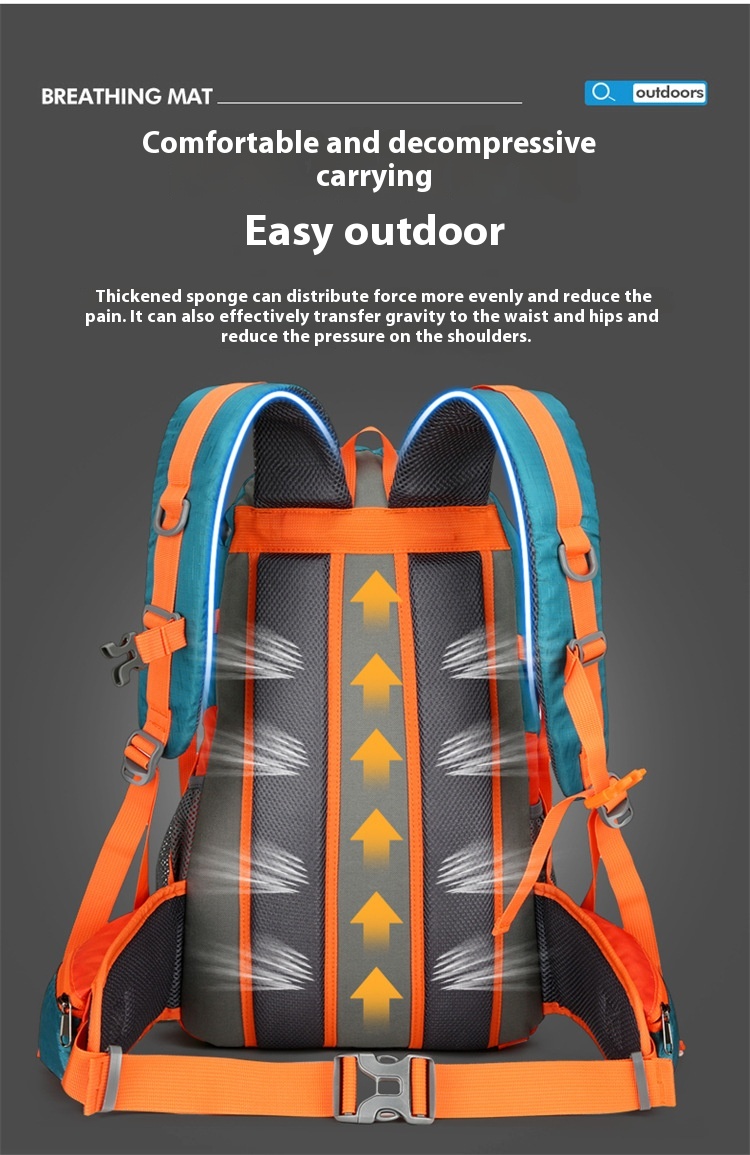 F227bfcb Aa46 43d4 8c60 155916a74711 Trans