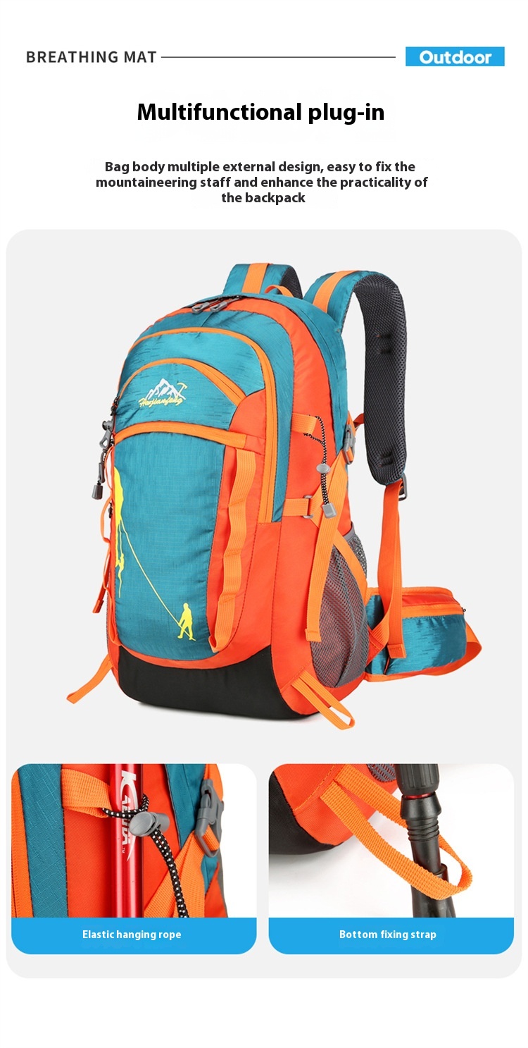 F2d931d0 5b36 4030 91b1 6b1bdbfa21b3 Trans