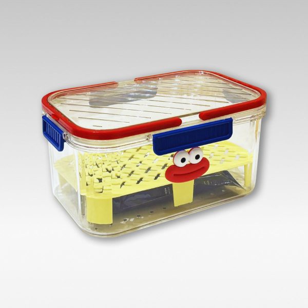 dopamine freshbox fun & fresh food storage box