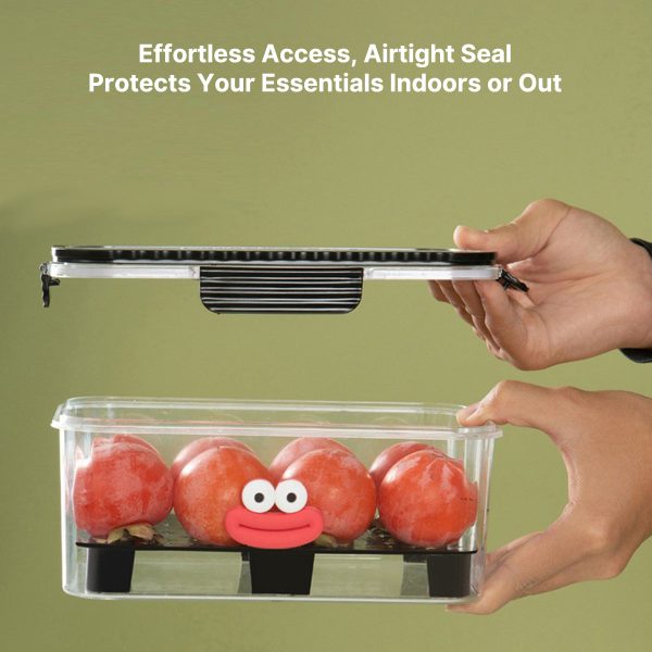 dopamine freshbox fun & fresh food storage box